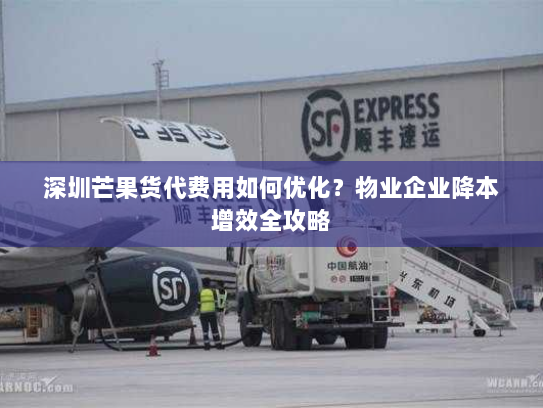 深圳芒果货代费用如何优化?物业企业降本增效全攻略 深圳芒果货代费用如何优化?物业企业降本增效全攻略