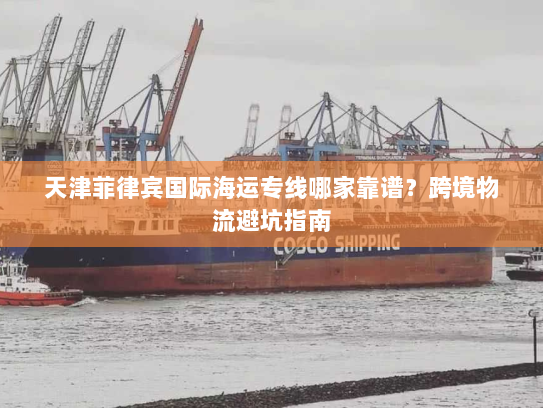 天津菲律宾国际海运专线哪家靠谱？跨境物流避坑指南