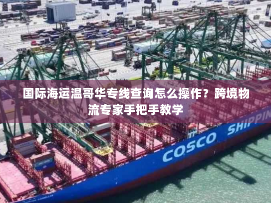 国际海运温哥华专线查询怎么操作?跨境物流专家手把手教学 国际海运温哥华专线查询怎么操作?跨境物流专家手把手教学
