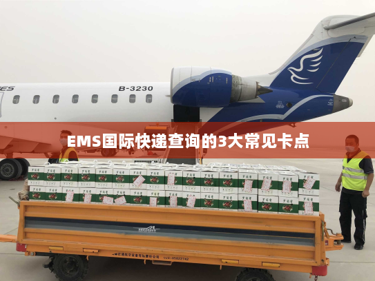 EMS国际快递查询的3大常见卡点