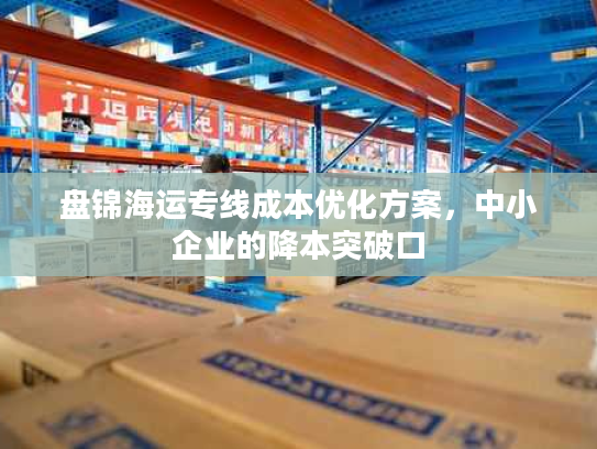 盘锦海运专线成本优化方案,中小企业的降本突破口 盘锦海运专线成本优化方案,中小企业的降本突破口