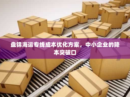 盘锦海运专线成本优化方案,中小企业的降本突破口 盘锦海运专线成本优化方案,中小企业的降本突破口
