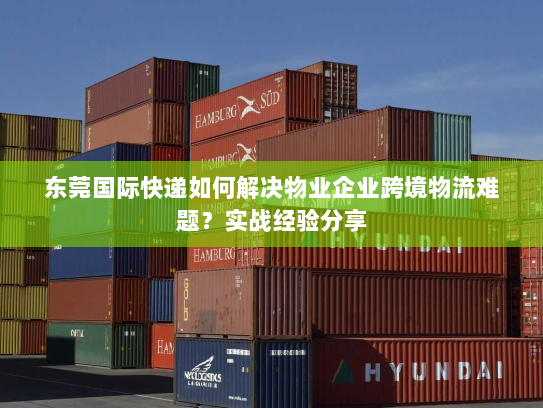 东莞国际快递如何解决物业企业跨境物流难题？实战经验分享