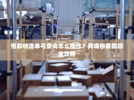 恒邮物流单号查询怎么操作？跨境包裹跟踪全攻略