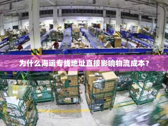 为什么海运专线地址直接影响物流成本？