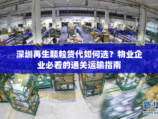 深圳再生颗粒货代如何选？物业企业必看的通关运输指南