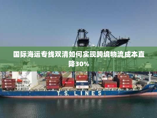 国际海运专线双清如何实现跨境物流成本直降30% 国际海运专线双清如何实现跨境物流成本直降30%