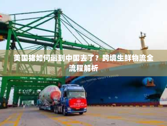 美国猪如何运到中国去了?跨境生鲜物流全流程解析 美国猪如何运到中国去了?跨境生鲜物流全流程解析