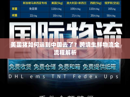 美国猪如何运到中国去了?跨境生鲜物流全流程解析 美国猪如何运到中国去了?跨境生鲜物流全流程解析