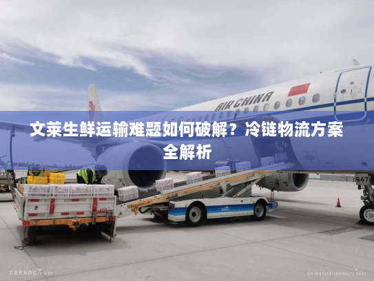 文莱生鲜运输难题如何破解?冷链物流方案全解析 文莱生鲜运输难题如何破解?冷链物流方案全解析
