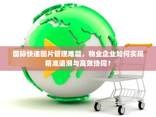 国际快递图片管理难题，物业企业如何实现精准追溯与高效协同？