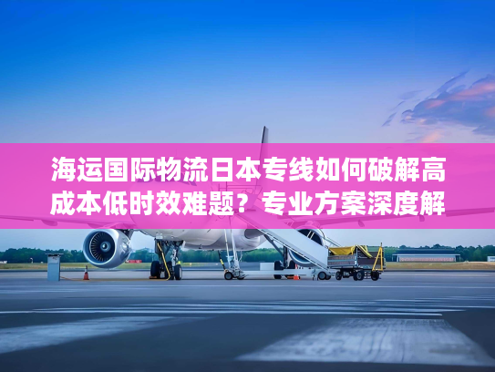 海运国际物流日本专线如何破解高成本低时效难题？专业方案深度解析