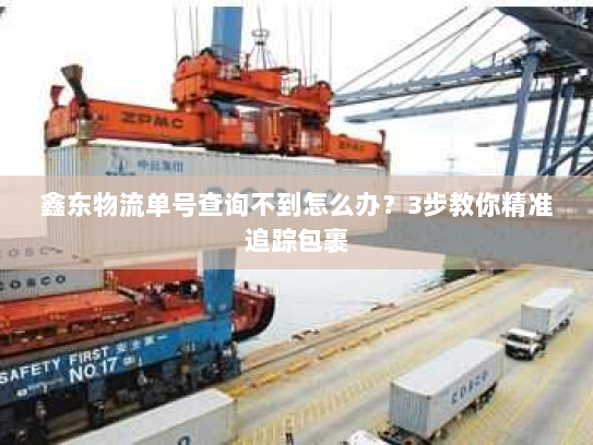 鑫东物流单号查询不到怎么办?3步教你精准追踪包裹 鑫东物流单号查询不到怎么办?3步教你精准追踪包裹