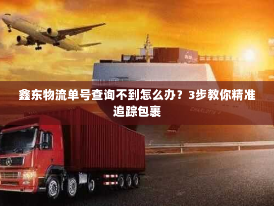 鑫东物流单号查询不到怎么办?3步教你精准追踪包裹 鑫东物流单号查询不到怎么办?3步教你精准追踪包裹
