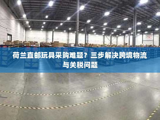 荷兰直邮玩具采购难题?三步解决跨境物流与关税问题 荷兰直邮玩具采购难题?三步解决跨境物流与关税问题