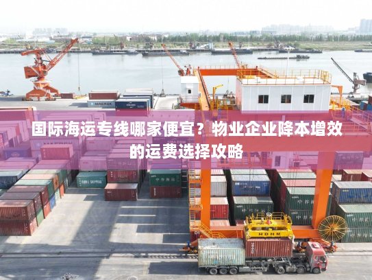 国际海运专线哪家便宜?物业企业降本增效的运费选择攻略 国际海运专线哪家便宜?物业企业降本增效的运费选择攻略