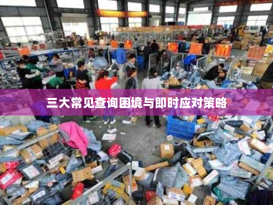 三大常见查询困境与即时应对策略