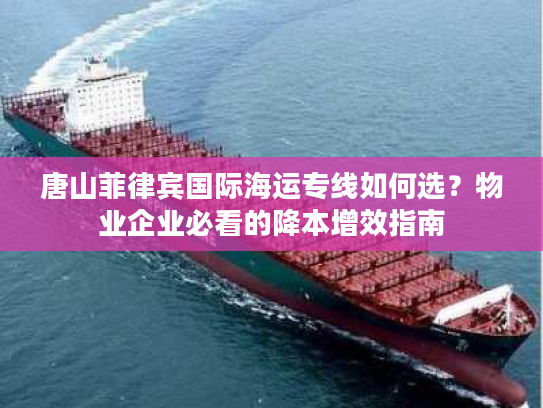 唐山菲律宾国际海运专线如何选？物业企业必看的降本增效指南