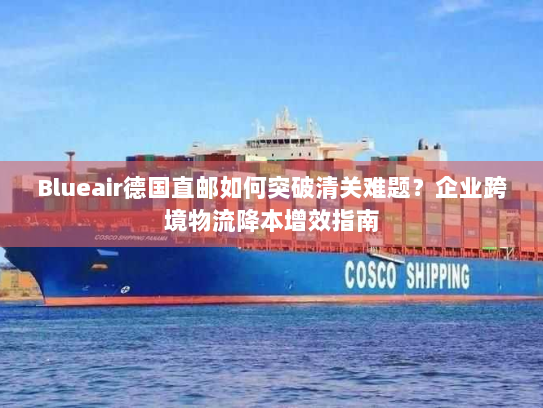 Blueair德国直邮如何突破清关难题?企业跨境物流降本增效指南 Blueair德国直邮如何突破清关难题?企业跨境物流降本增效指南