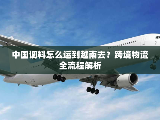 中国调料怎么运到越南去？跨境物流全流程解析