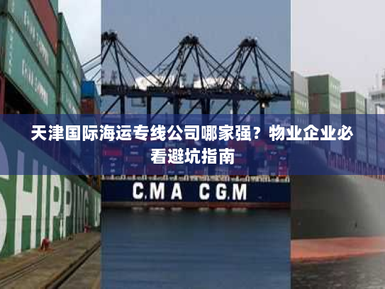 天津国际海运专线公司哪家强?物业企业必看避坑指南 天津国际海运专线公司哪家强?物业企业必看避坑指南