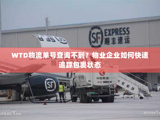 WTD物流单号查询不到？物业企业如何快速追踪包裹状态