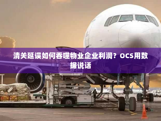 清关延误如何吞噬物业企业利润？OCS用数据说话