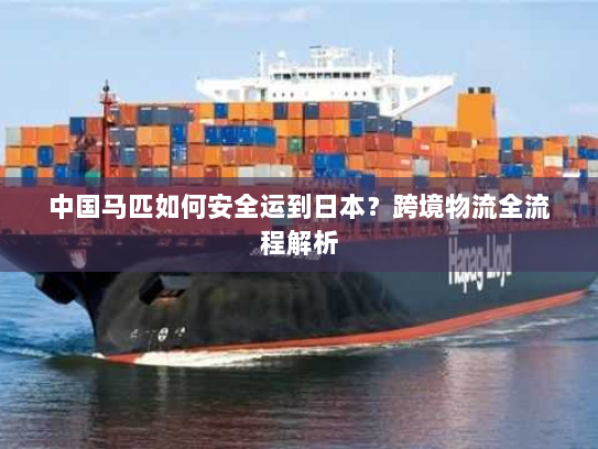 中国马匹如何安全运到日本?跨境物流全流程解析 中国马匹如何安全运到日本?跨境物流全流程解析