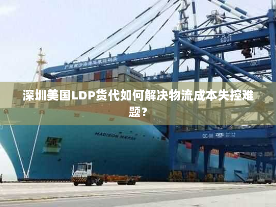 深圳美国LDP货代如何解决物流成本失控难题? 深圳美国LDP货代如何解决物流成本失控难题?