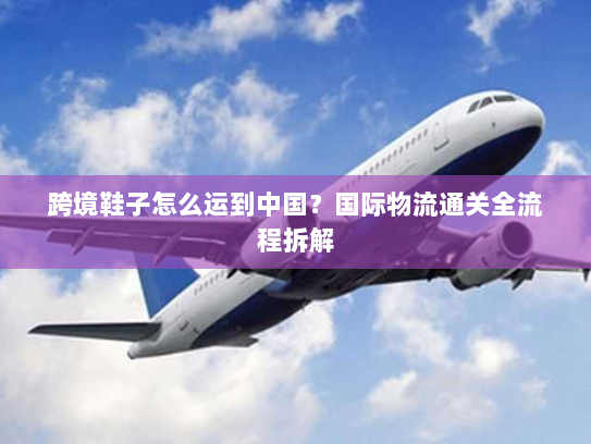 跨境鞋子怎么运到中国?国际物流通关全流程拆解 跨境鞋子怎么运到中国?国际物流通关全流程拆解