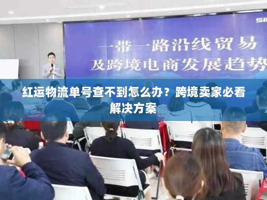 红运物流单号查不到怎么办?跨境卖家必看解决方案 红运物流单号查不到怎么办?跨境卖家必看解决方案
