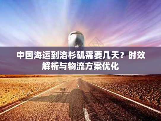 中国海运到洛杉矶需要几天？时效解析与物流方案优化