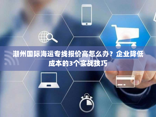 潮州国际海运专线报价高怎么办？企业降低成本的3个实战技巧