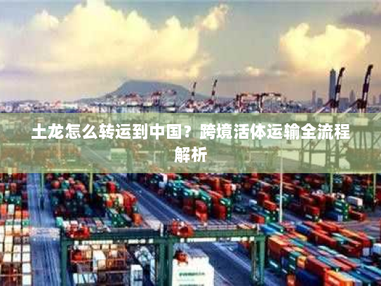 土龙怎么转运到中国?跨境活体运输全流程解析 土龙怎么转运到中国?跨境活体运输全流程解析