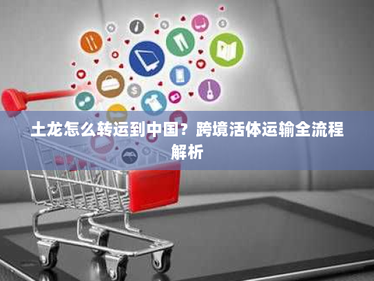 土龙怎么转运到中国?跨境活体运输全流程解析 土龙怎么转运到中国?跨境活体运输全流程解析