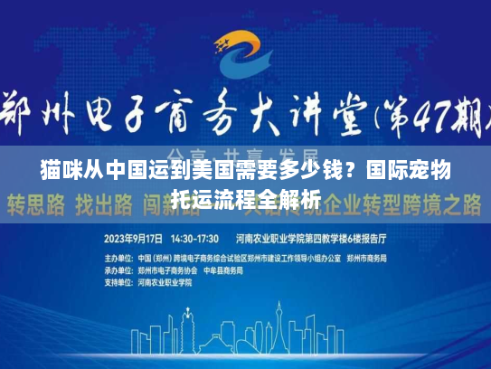 猫咪从中国运到美国需要多少钱？国际宠物托运流程全解析