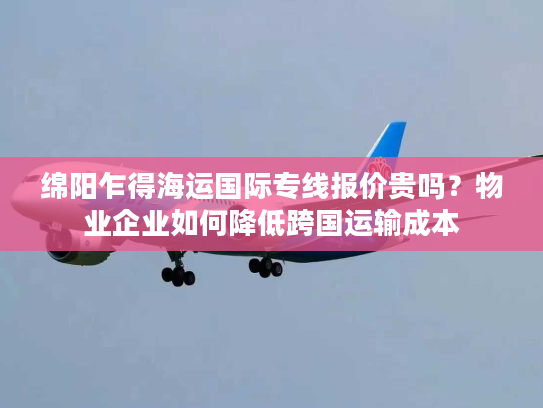 绵阳乍得海运国际专线报价贵吗？物业企业如何降低跨国运输成本
