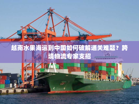 越南水果海运到中国如何破解通关难题?跨境物流专家支招 越南水果海运到中国如何破解通关难题?跨境物流专家支招