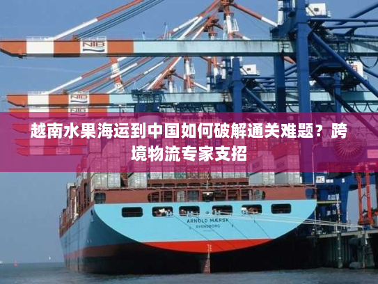 越南水果海运到中国如何破解通关难题?跨境物流专家支招 越南水果海运到中国如何破解通关难题?跨境物流专家支招