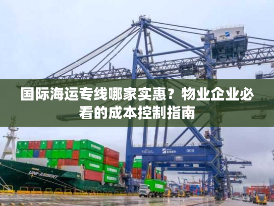 国际海运专线哪家实惠？物业企业必看的成本控制指南