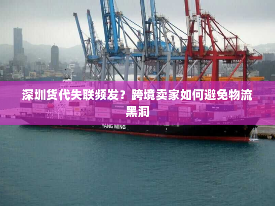 深圳货代失联频发?跨境卖家如何避免物流黑洞 深圳货代失联频发?跨境卖家如何避免物流黑洞