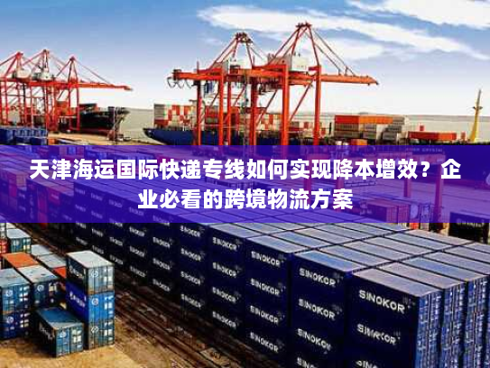 天津海运国际快递专线如何实现降本增效?企业必看的跨境物流方案 天津海运国际快递专线如何实现降本增效?企业必看的跨境物流方案