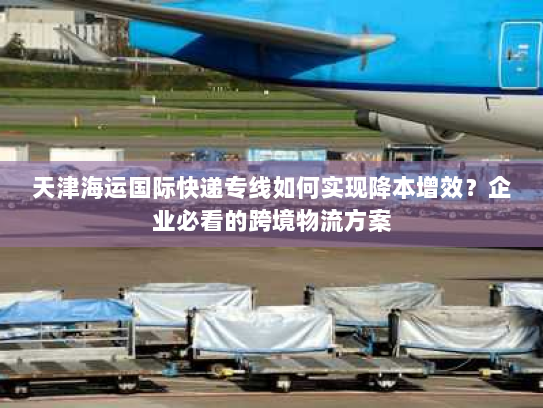 天津海运国际快递专线如何实现降本增效?企业必看的跨境物流方案 天津海运国际快递专线如何实现降本增效?企业必看的跨境物流方案