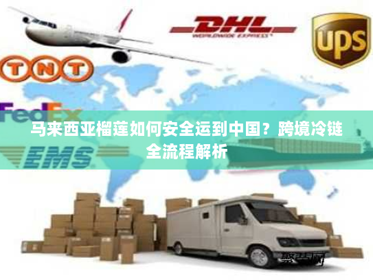 马来西亚榴莲如何安全运到中国?跨境冷链全流程解析 马来西亚榴莲如何安全运到中国?跨境冷链全流程解析