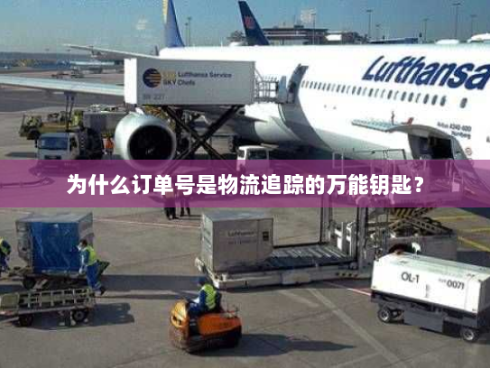 为什么订单号是物流追踪的万能钥匙？
