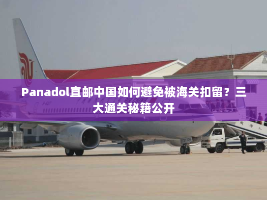 Panadol直邮中国如何避免被海关扣留？三大通关秘籍公开