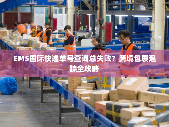 EMS国际快递单号查询总失败?跨境包裹追踪全攻略 EMS国际快递单号查询总失败?跨境包裹追踪全攻略
