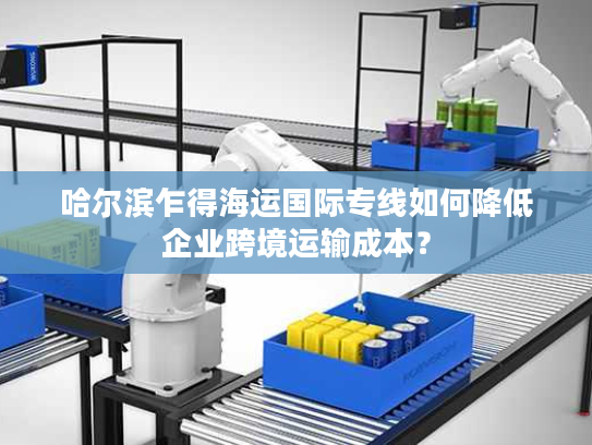 哈尔滨乍得海运国际专线如何降低企业跨境运输成本？