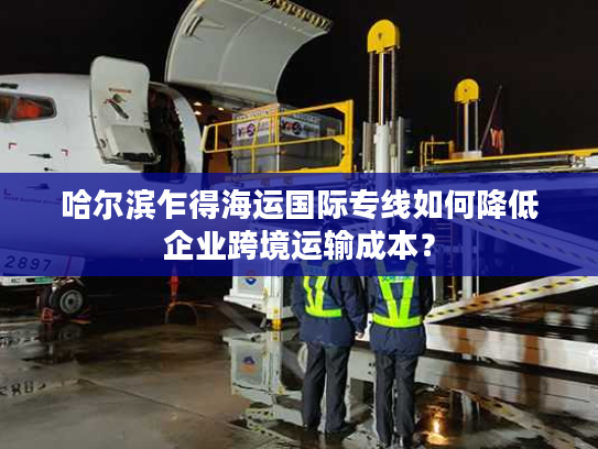 哈尔滨乍得海运国际专线如何降低企业跨境运输成本？