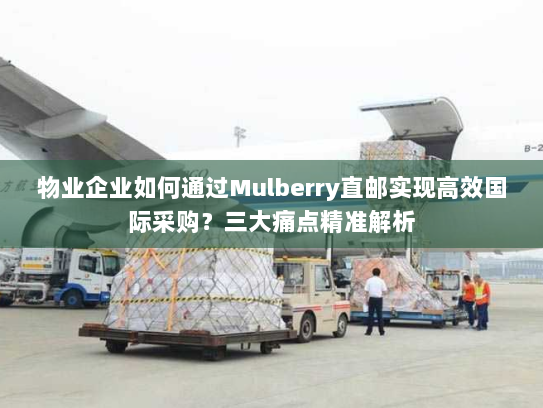 物业企业如何通过Mulberry直邮实现高效国际采购?三大痛点精准解析 物业企业如何通过Mulberry直邮实现高效国际采购?三大痛点精准解析